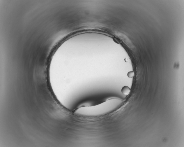 X0000090781164200708172122