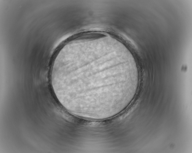 X0000090781166200708172122