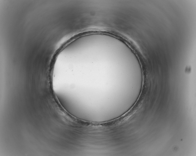 X0000090781168200708172122