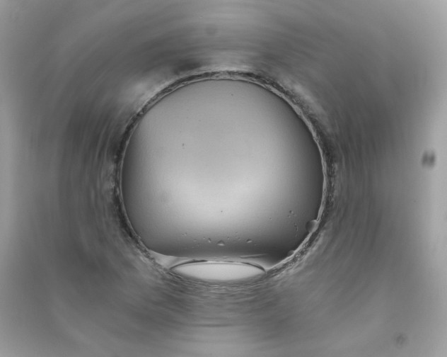 X0000090781169200708172122