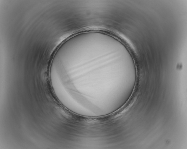 X0000090781170200708172122
