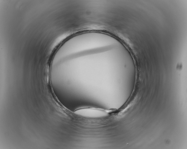 X0000090781171200708172122