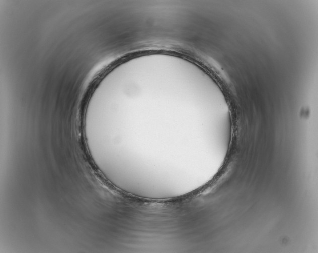 X0000090781172200708172122