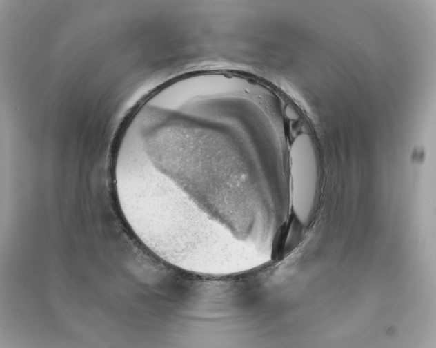 X0000090781173200708172122