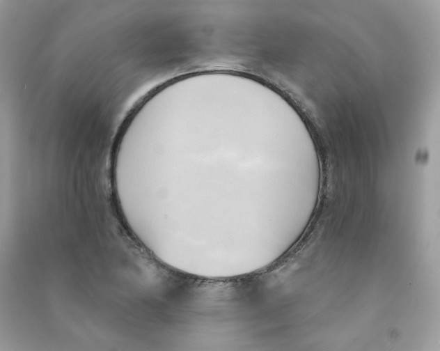 X0000090781174200708172122