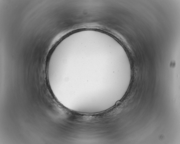 X0000090781176200708172122