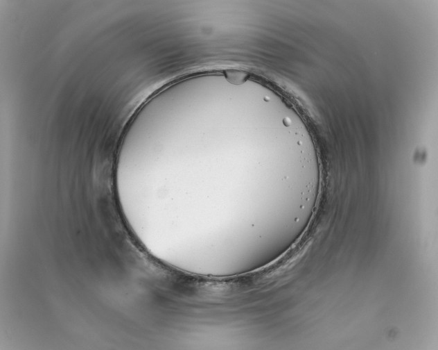 X0000090781177200708172122