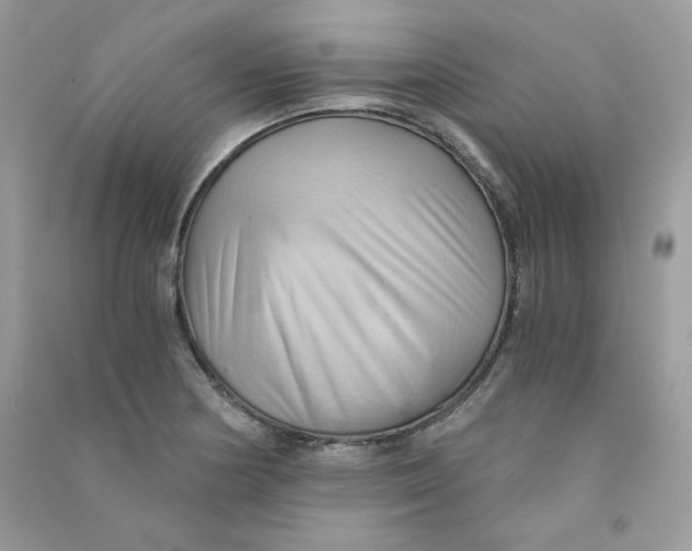 X0000090781178200708172122