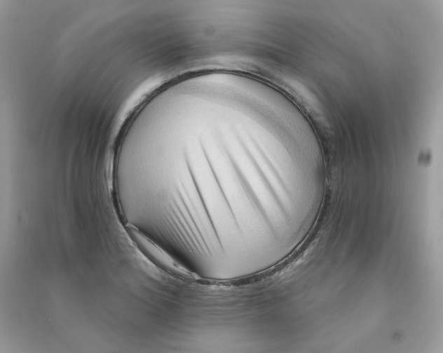 X0000090781180200708172122