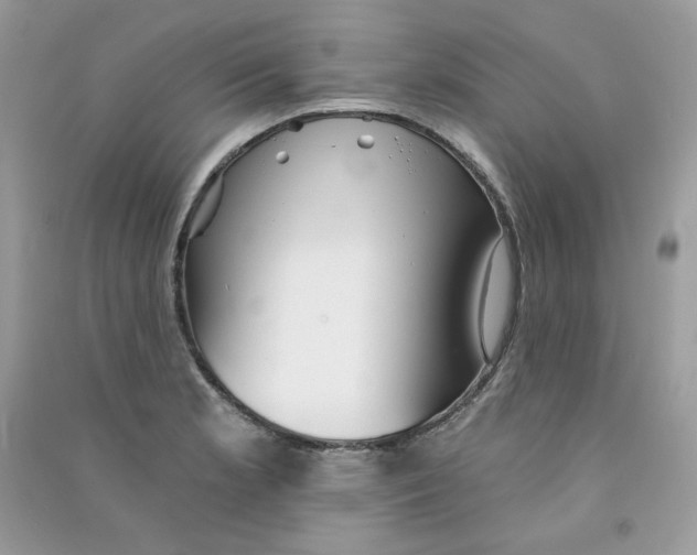 X0000090781181200708172122