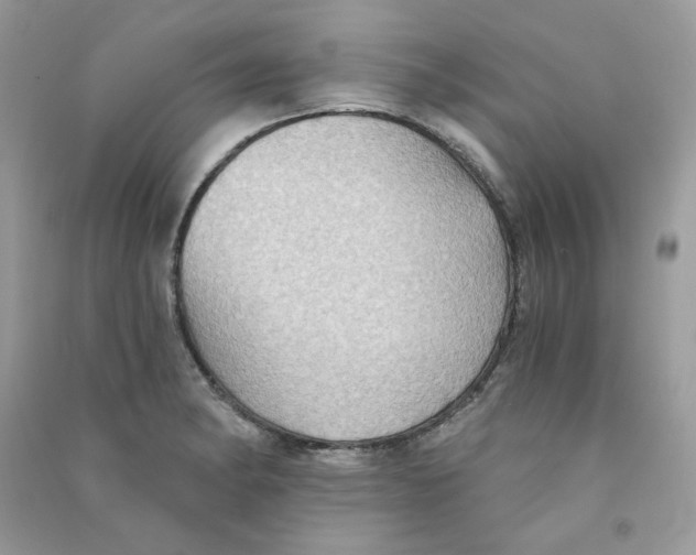 X0000090781182200708172122