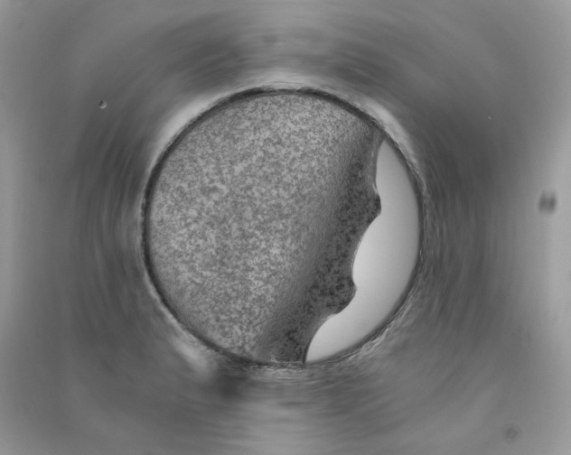 X0000090781183200708172122