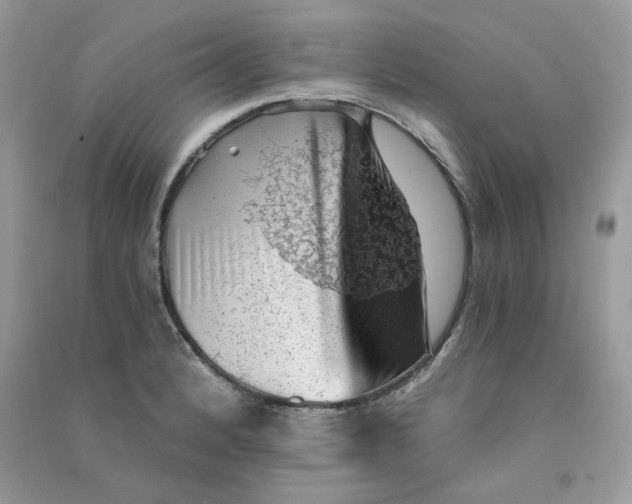 X0000090781184200708172122