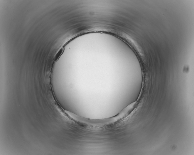 X0000090781185200708172122