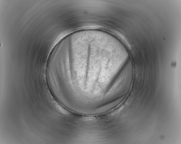 X0000090781186200708172122