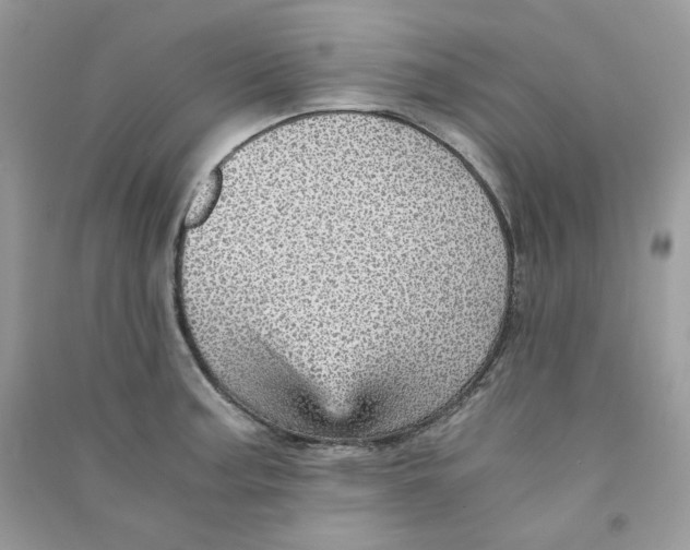 X0000090781187200708172122