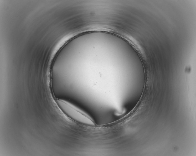 X0000090781188200708172122