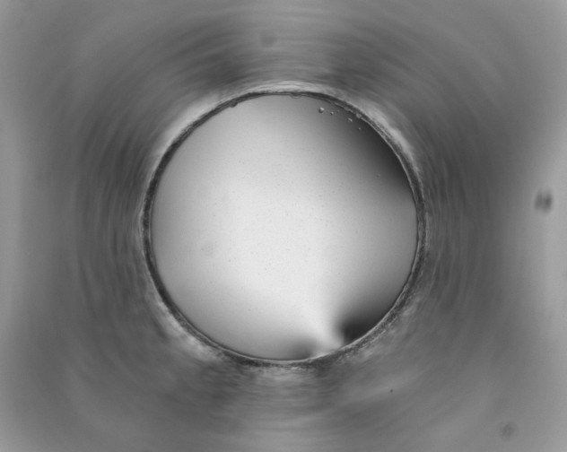 X0000090781189200708172122