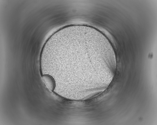 X0000090781191200708172122