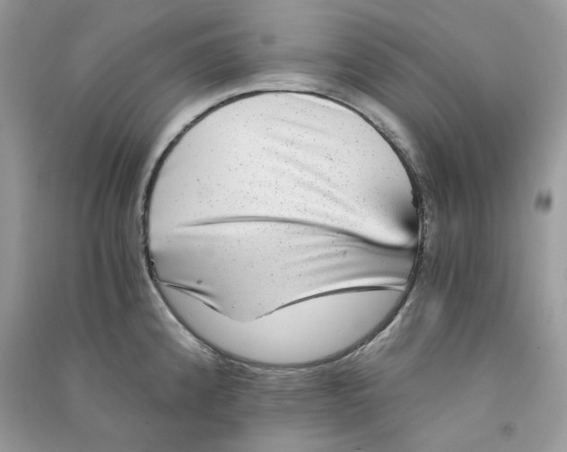 X0000090781192200708172122