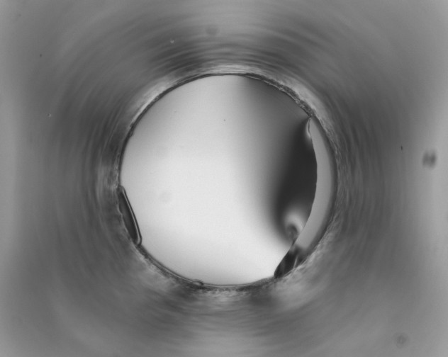 X0000090781193200708172122