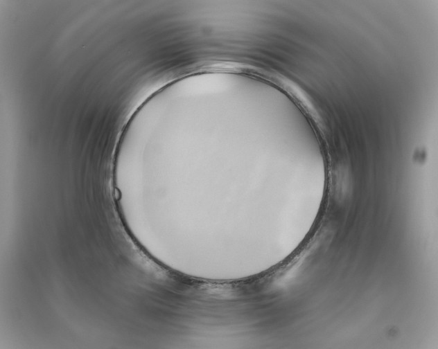 X0000090781194200708172122