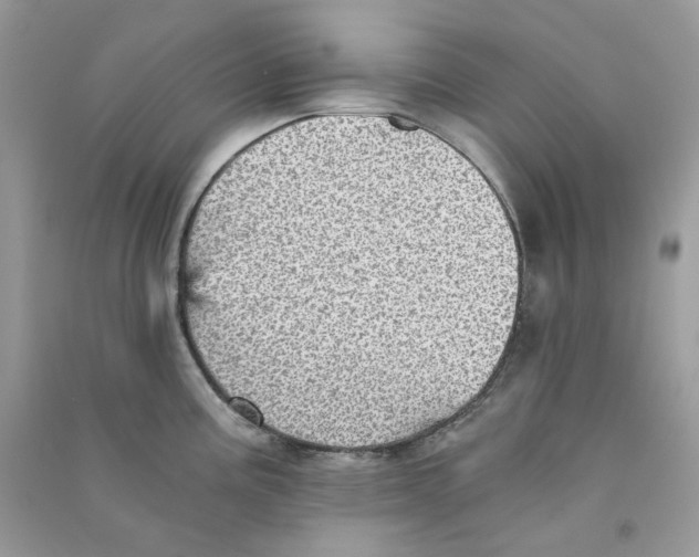 X0000090781195200708172122