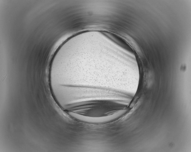 X0000090781196200708172122
