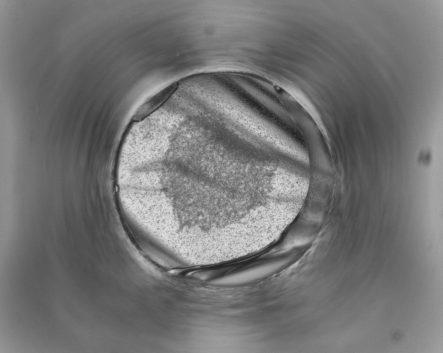 X0000090781197200708172122