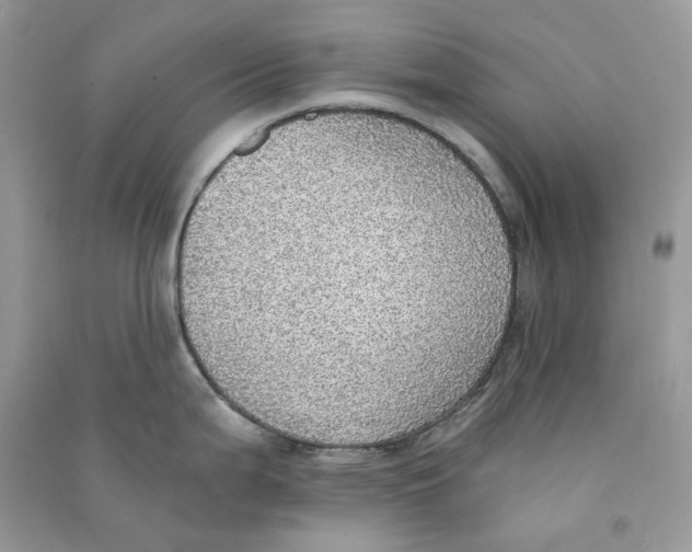 X0000090781199200708172122
