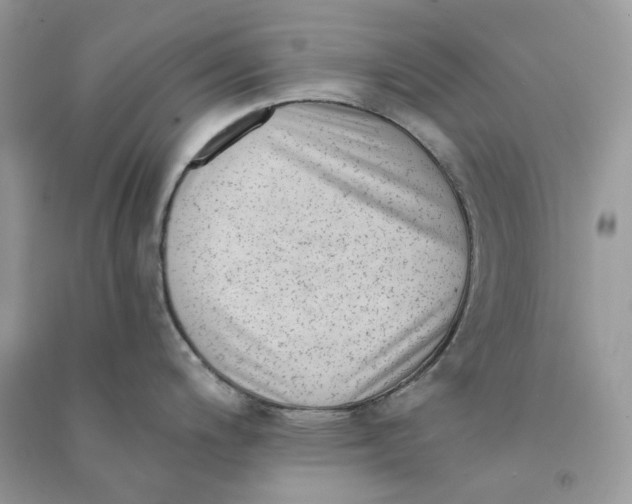 X0000090781200200708172122