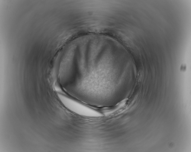 X0000090781202200708172121