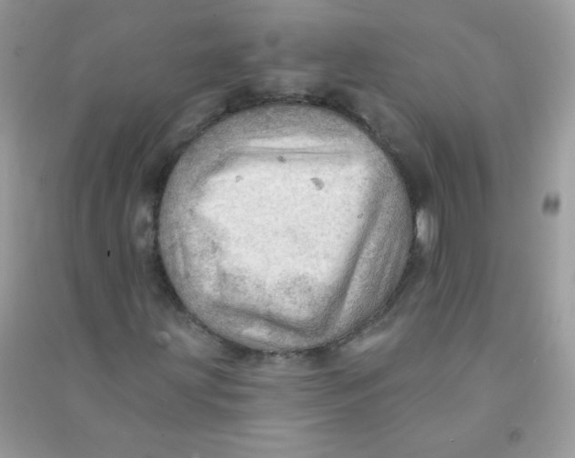 X0000090781203200708172121