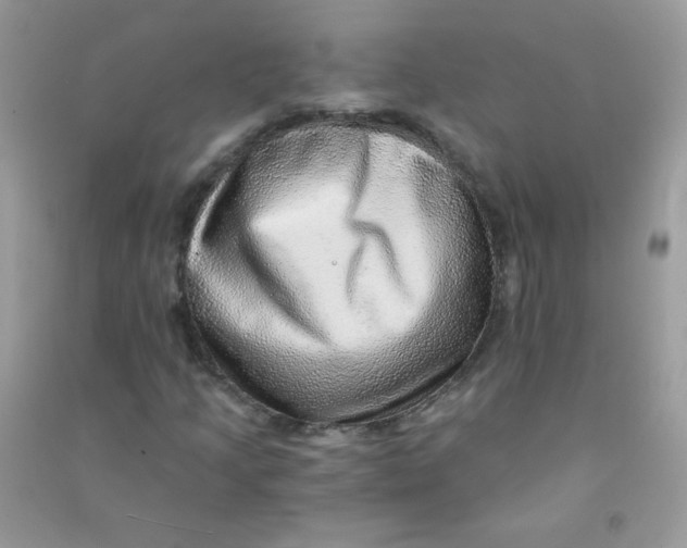 X0000090781205200708172121