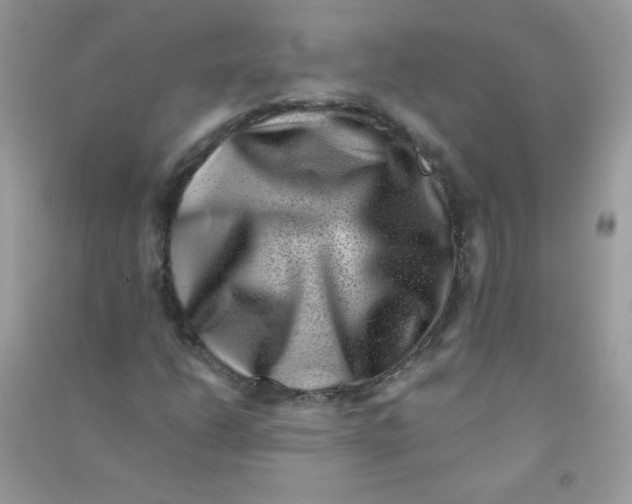 X0000090781206200708172121