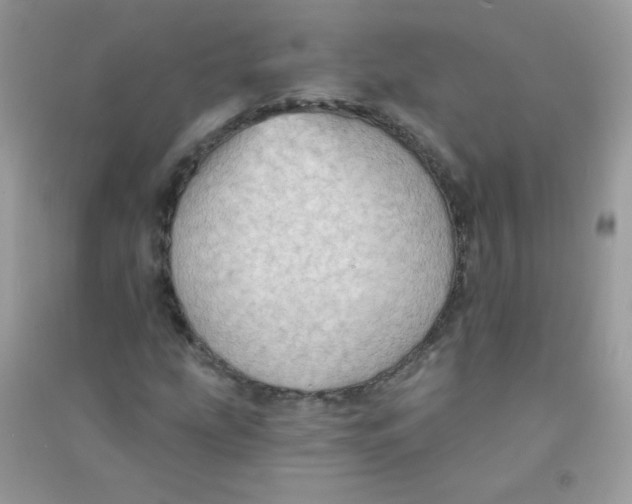 X0000090781207200708172121