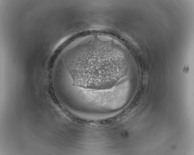 X0000090781208200708172121
