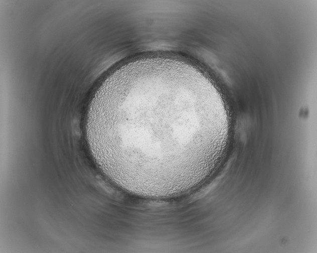 X0000090781209200708172121