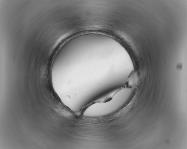 X0000090781210200708172121