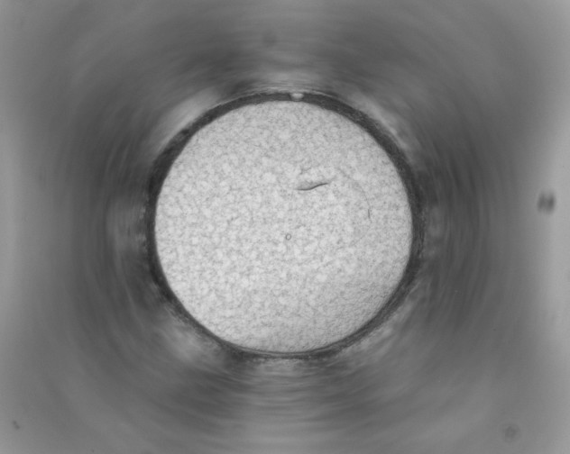X0000090781211200708172121