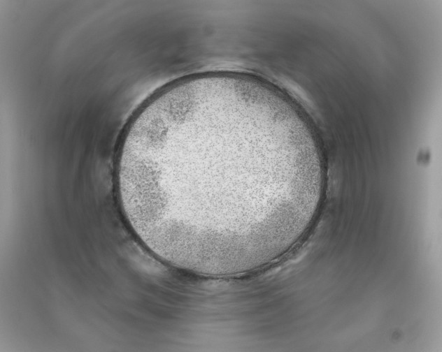 X0000090781212200708172121