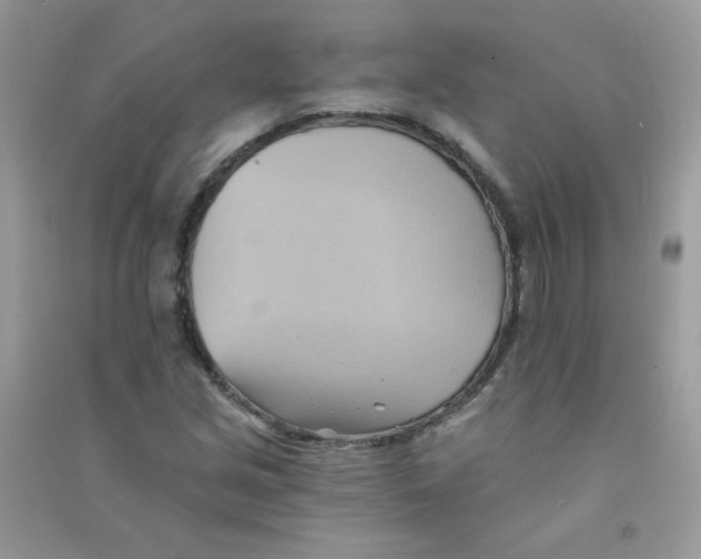 X0000090781213200708172121