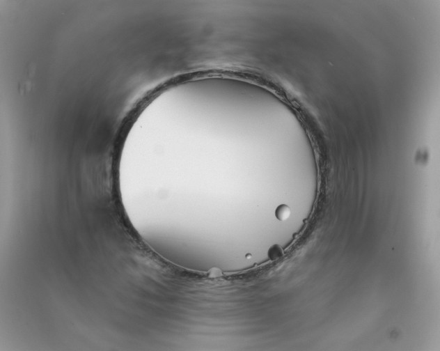 X0000090781214200708172121