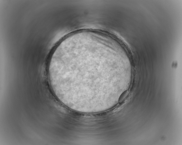 X0000090781215200708172121