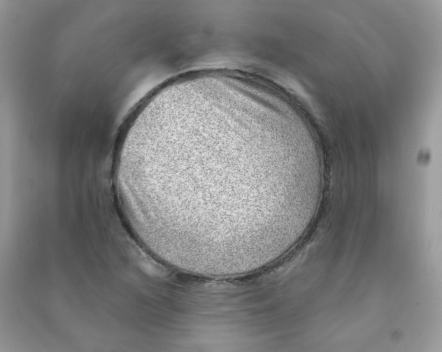 X0000090781216200708172121