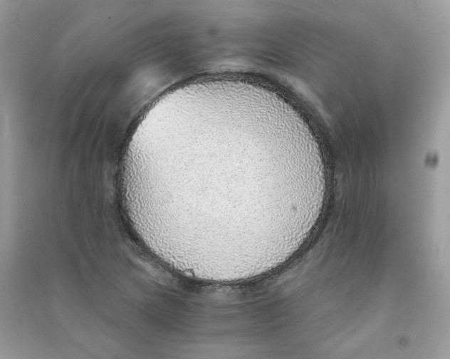X0000090781217200708172121