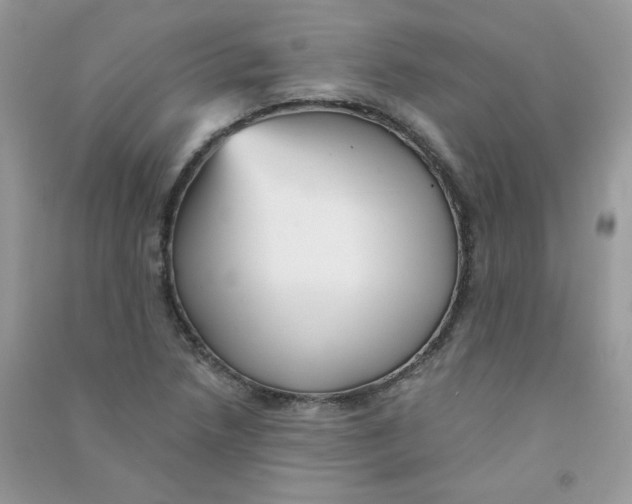 X0000090781218200708172121