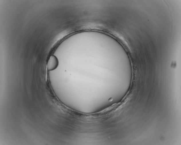 X0000090781219200708172121