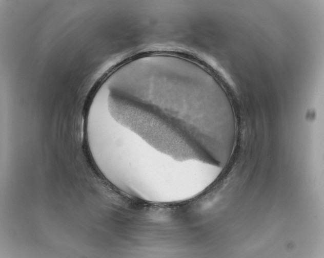 X0000090781221200708172121