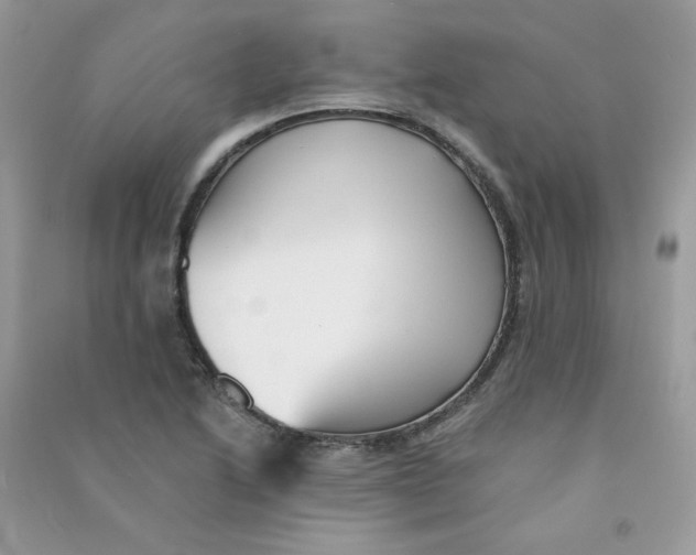 X0000090781222200708172121